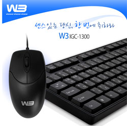 W3 IGC-1300